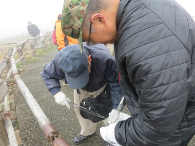 写真_蔵王山頂清掃とつつじ祭り